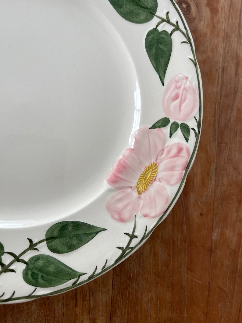 A Beautiful Villeroy and Boch Germany Wild Rose/Wildrose Handmalerei Dinner Plate-Dinner Plate 26cm Rare image 2