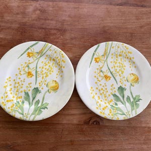 Set of 2 Gorgeous Gien France 