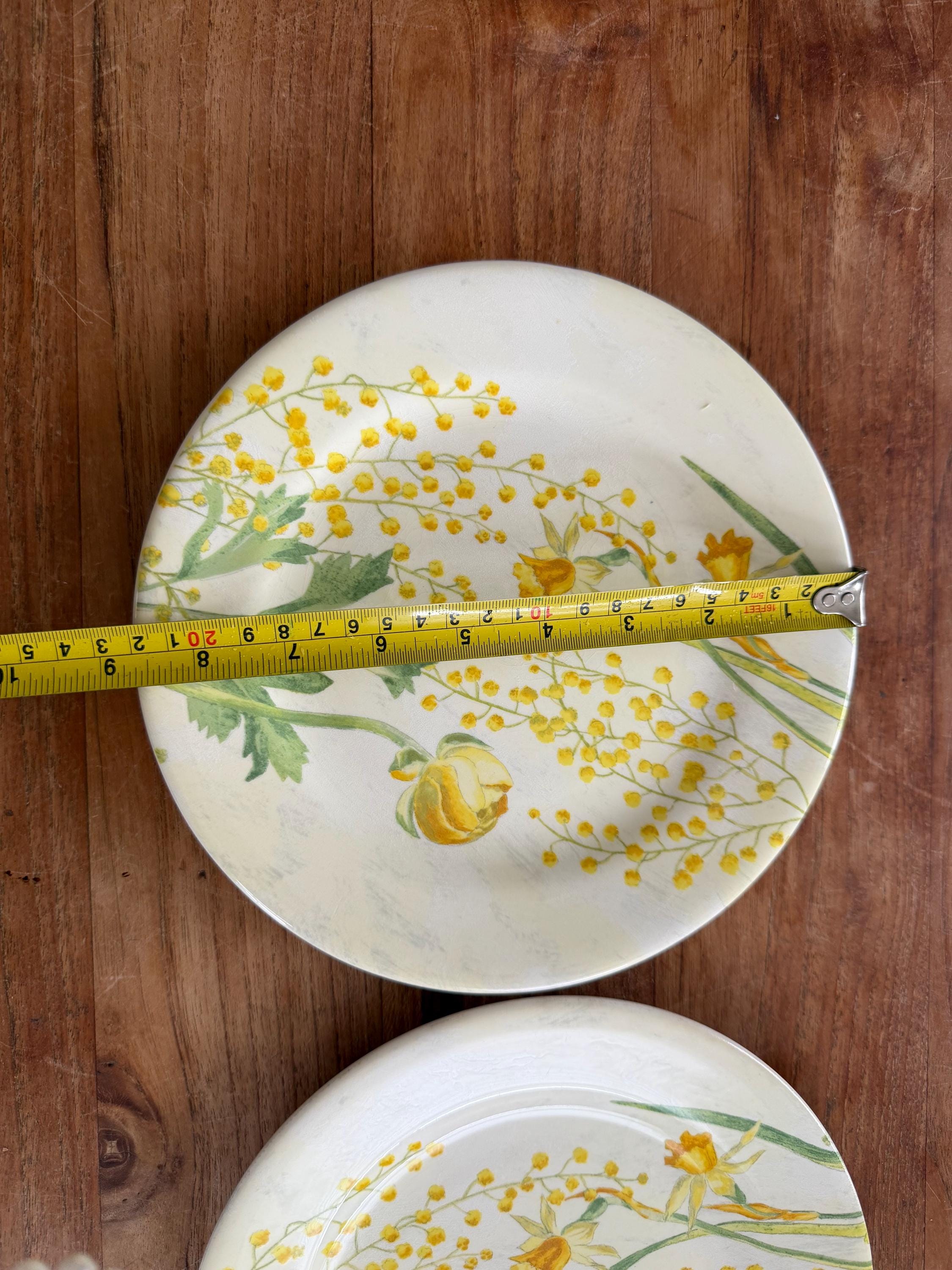 GIen FRANCE プレート Set of 2 Gorgeous Gien France 