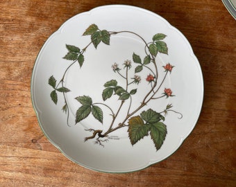 May include: White ceramic plate with a scalloped edge and a green trim. The plate features a detailed botanical illustration of a blackberry plant with green leaves, white flowers, and red berries. The plate is on a wooden surface.
