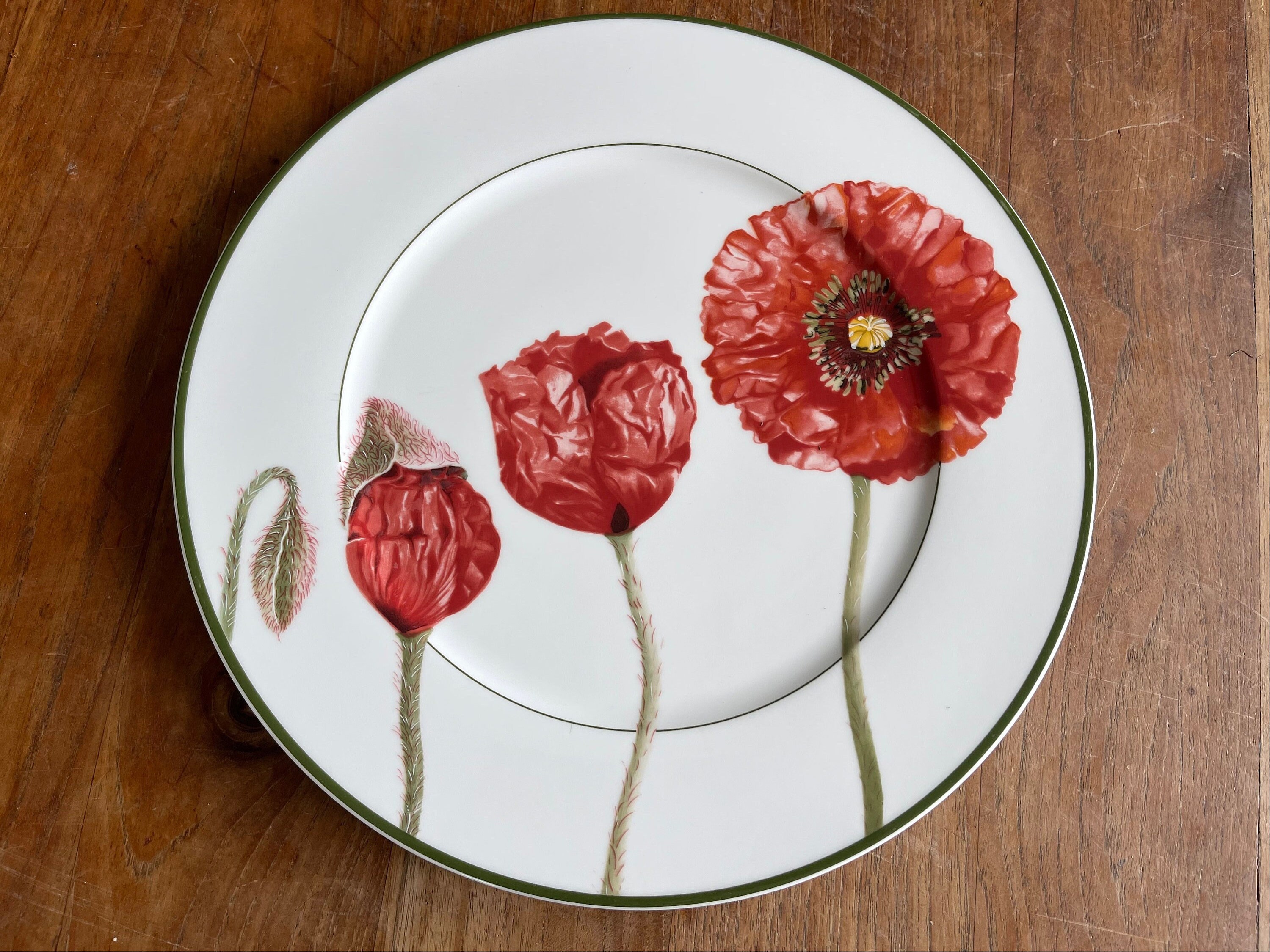 美しいビレロイ＆ボッホ フローラ ポピー アンダープレート ピザ