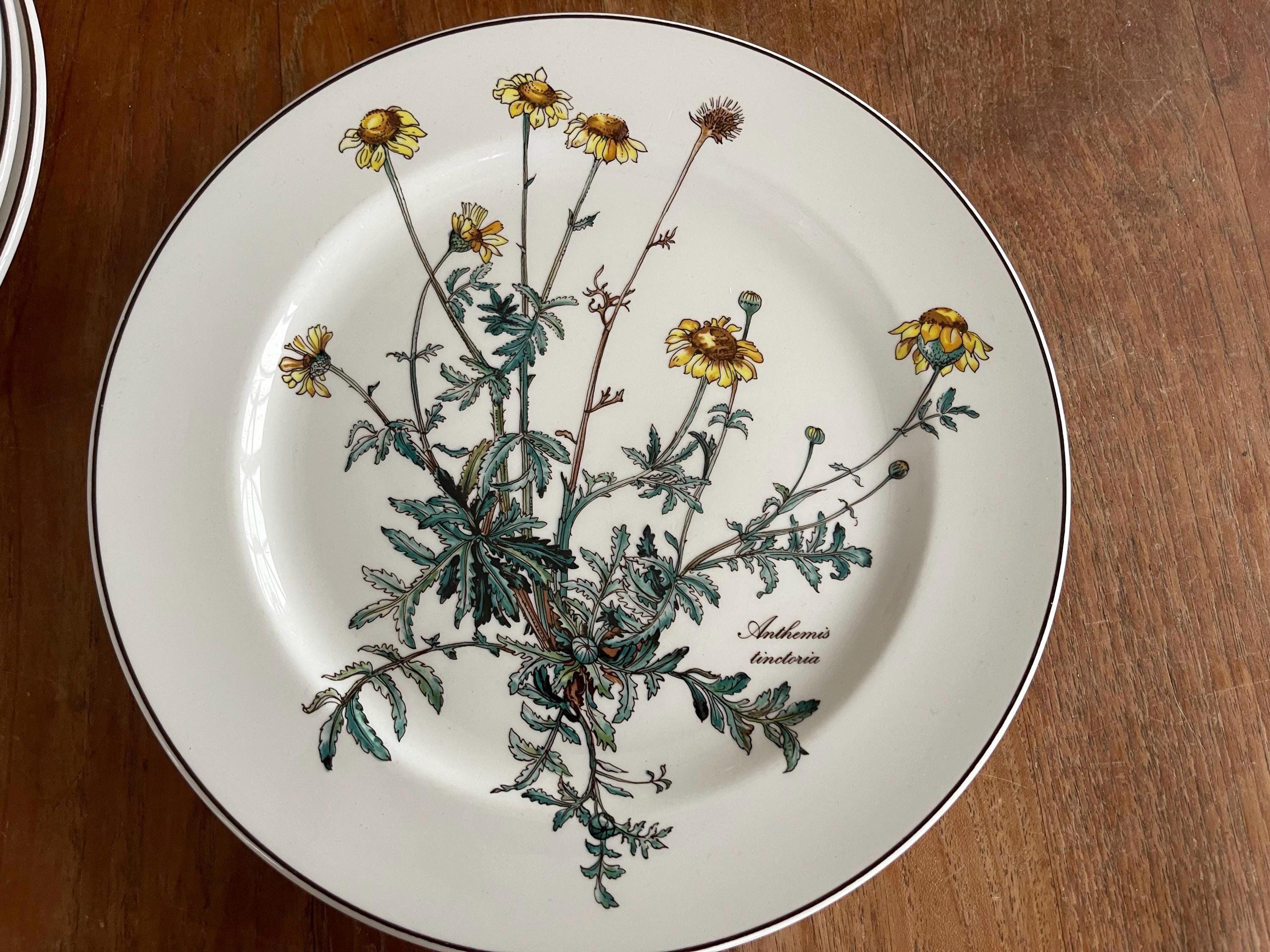Villeroy Boch Rusticana - Etsy Villeroy Boch Rusticana - Etsy