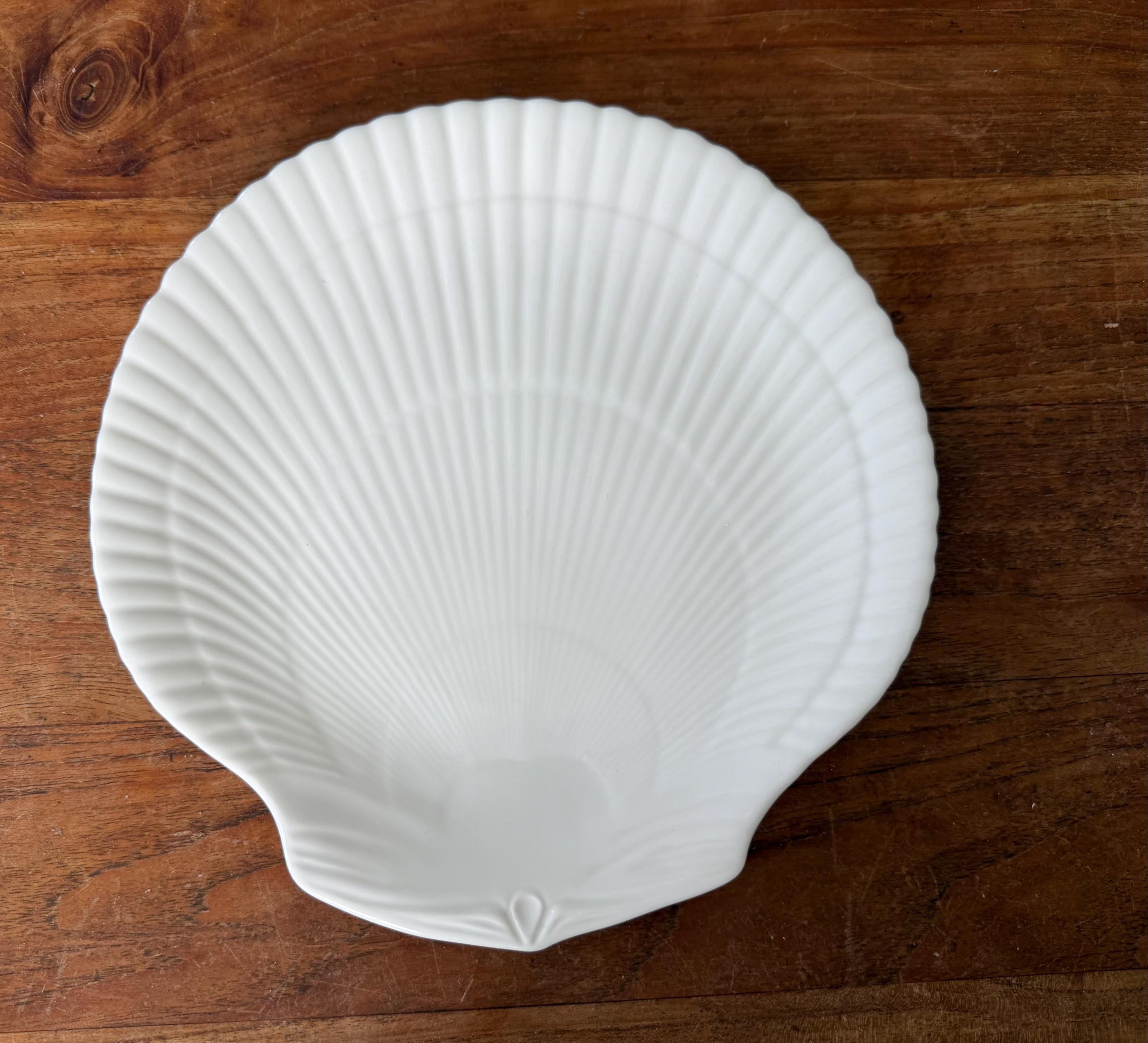 Wedgwood Nautilus Shell - Etsy