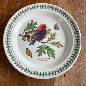 Ein Vintage Portmeirion Botanic Garden Birds Speiseteller-Speiseteller- 27cm-Made in England-Piranga Olivacea/Scarlet Tanager