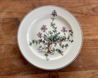 May include: A white ceramic plate with a brown rim features a botanical illustration of thyme, with green leaves and purple flowers. The text "Thymus pulegioides" is printed in black on the plate.