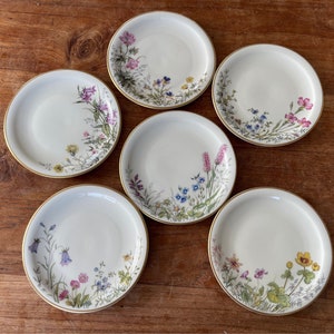 Set of 6 Vintage K&A Krautheim Selb Bavaria Wiesengrund Bergeshohn Pastry Plate-Small bread and butter plate-6&quot; Tea/Cake plate-15.5cm-Rare!