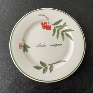 Może przedstawiać: Biały ceramiczny talerz z zielonym rantem przedstawiający botaniczny rysunek rośliny Sorbus aucuparia z czerwonymi jagodami i zielonymi liśćmi.