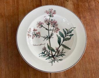 May include: A white ceramic plate with a brown rim features a botanical illustration of Valeriana officinalis, a flowering plant with pink flowers and green leaves.