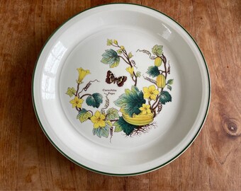 Un plato de cena botánico Vintage Wedgwood England Florabunda Cucurbita Pepo Pumpkin Butterfly- plato de cena- 10"-26cm- ¡Raro!