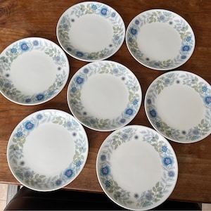Clementine Plates - Etsy