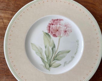 Vintage Villeroy & Boch Flora Poppy Plates: German Porcelain
