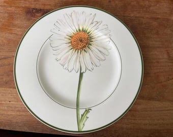 大皿Villeroy ＆ Boch　カントリーコレクションFLORA廃盤生産終了 Vintage Villeroy & Boch Flora Poppy Plates: German Porcelain