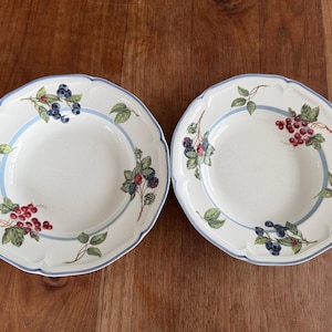 Villeroy & Boch Cottage Milchkännchen und Zuckerdose mit Deckel Country Collection