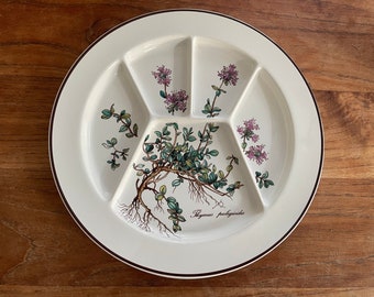 May include: A white ceramic divided serving dish with a brown rim. The dish is decorated with a botanical illustration of thyme, with the text "Thymus pulegioides" printed below the illustration.