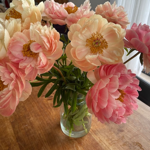 Border Fine Arts- Brambly Hedge- Babies in the Bath- BH73