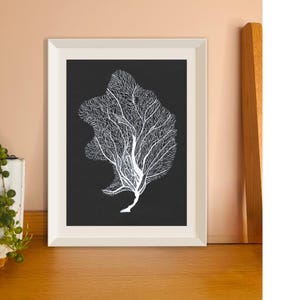 May include: A framed art print featuring a white, branching coral design against a black background. The artwork is encased in a white frame and rests on a wooden surface. The print's intricate details and contrasting colors create a striking visual.