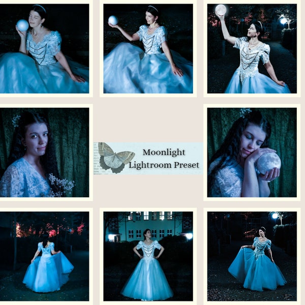 Preset LR, "Moonlight" by Aeterna Creations
