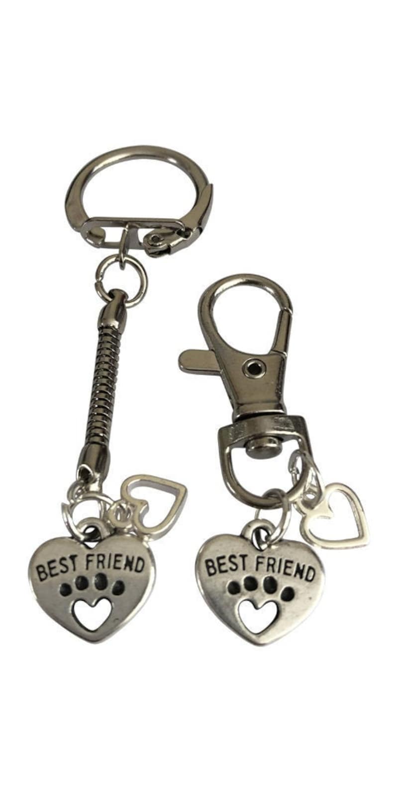 Best Friends Dog Owner Friendship Love Keyring and Collar Charm Gift