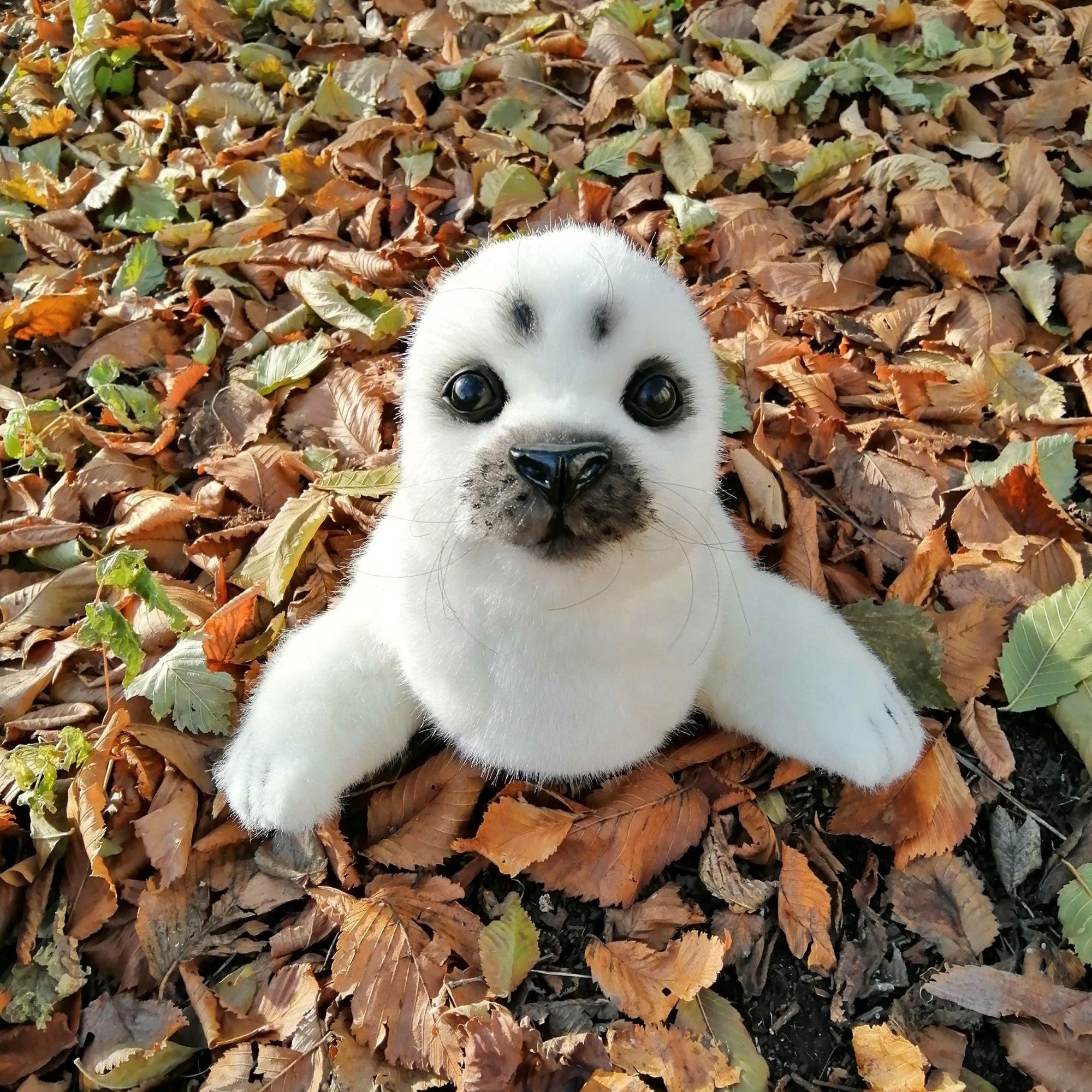 Realistic stuffed toy seal.Life like animal doll.Seal Etsy
