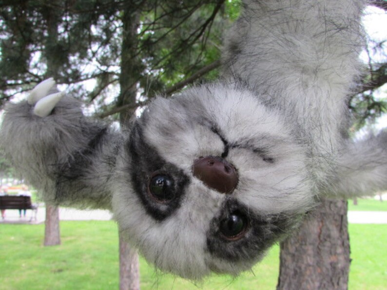 Realistic Stuffed Sloth. Realistic Stuffed Animal.stuffed | Etsy