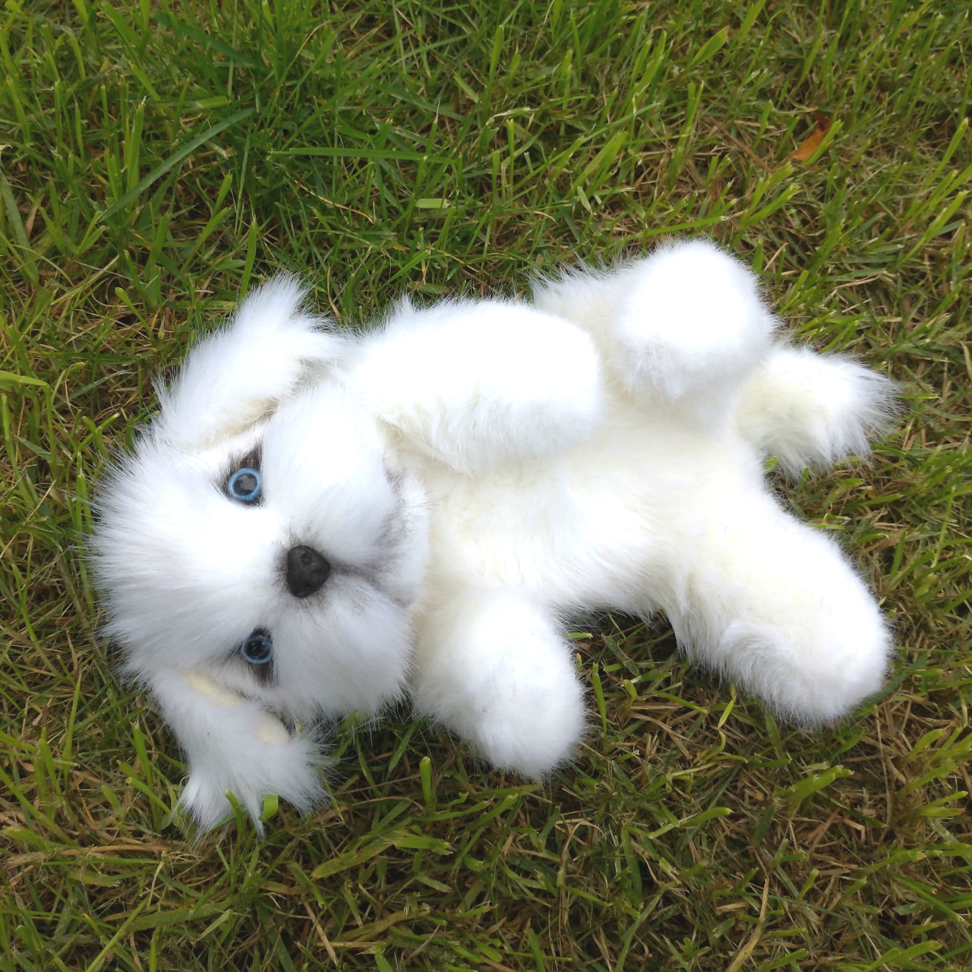 Ausgestopfter LapDog Malteser. Realistisches Stofftier. Etsy