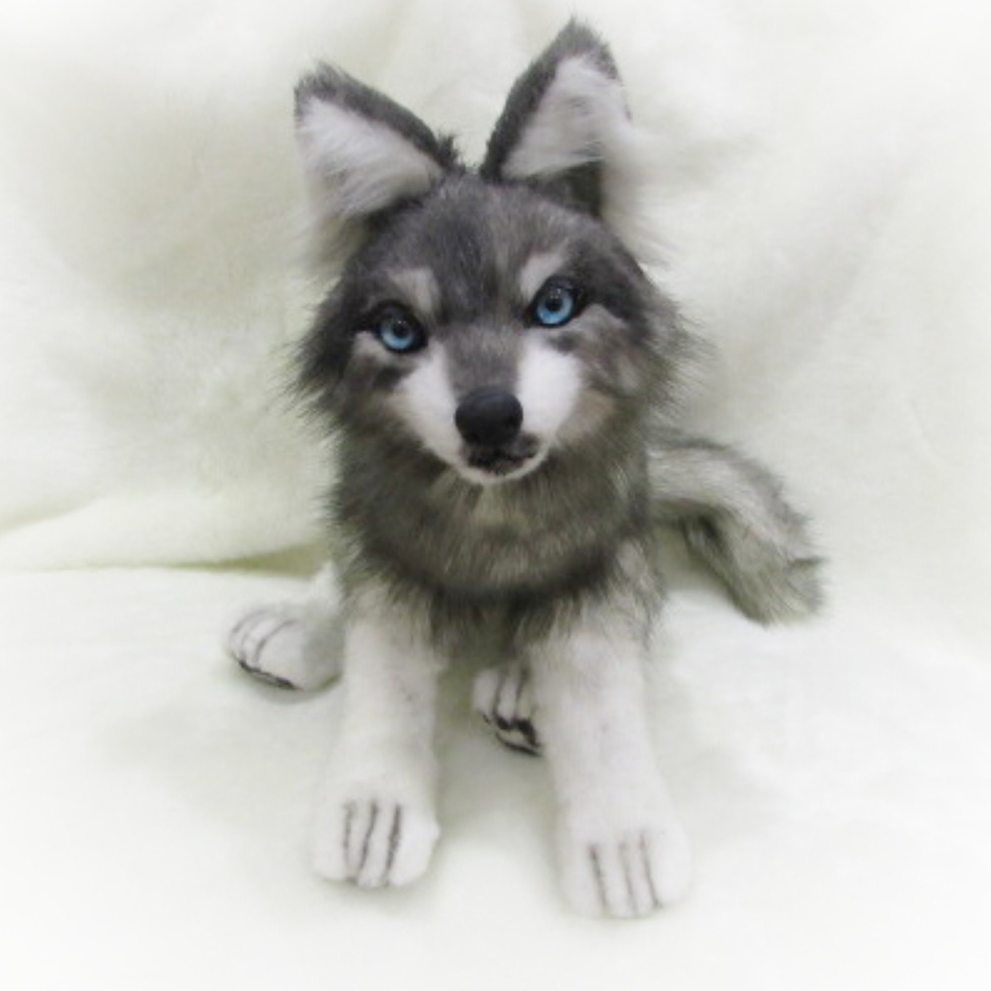 Realistic stuffed animals. Posable wolf. Stuffed wolf. Wolf Etsy