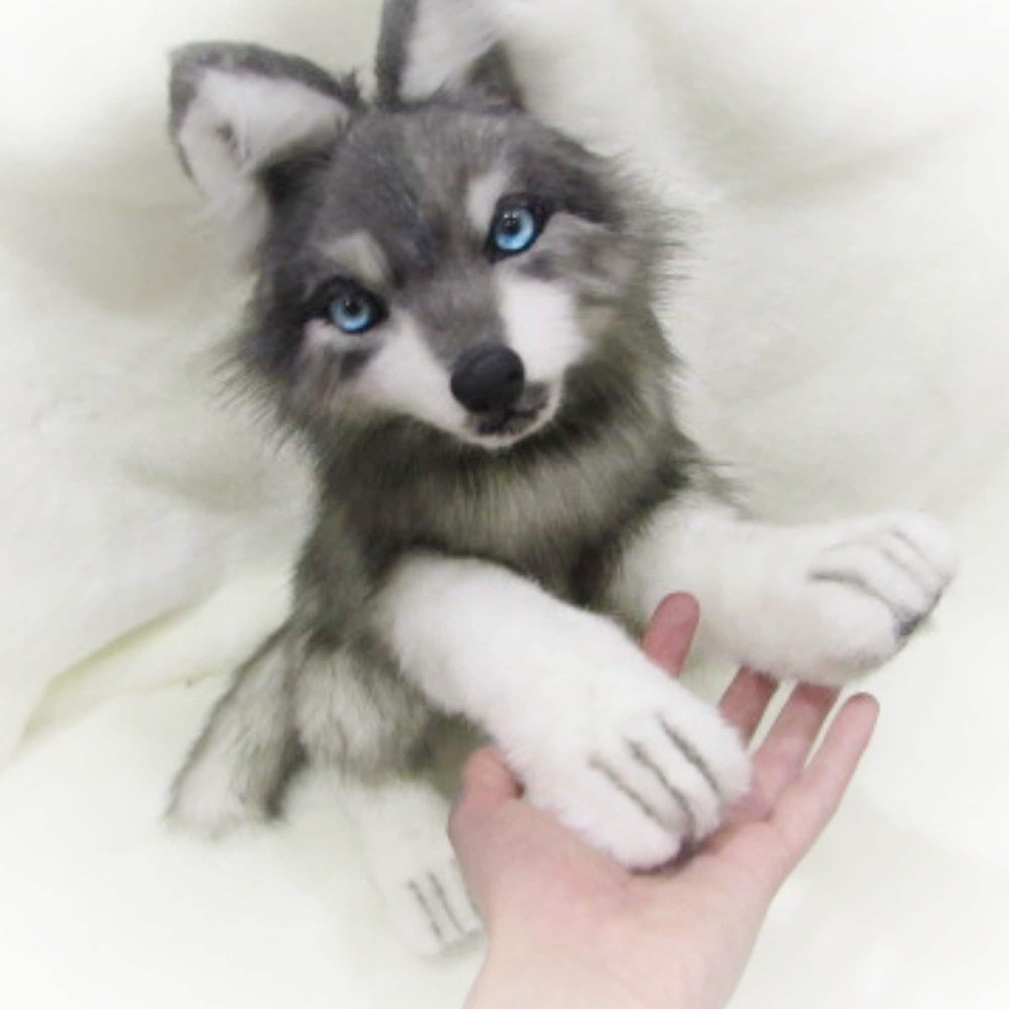Realistic stuffed animals. Posable wolf. Stuffed wolf. Wolf Etsy