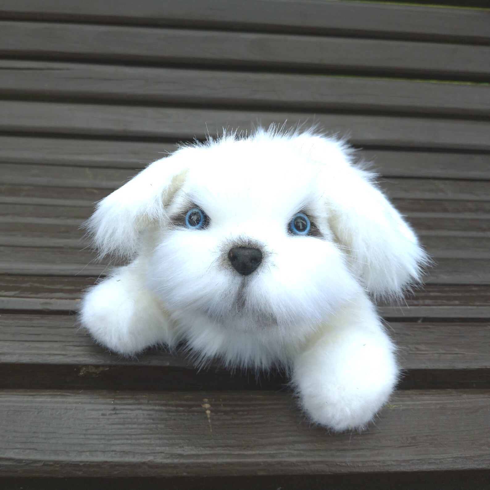 Ausgestopfter LapDog Malteser. Realistisches Stofftier. Etsy