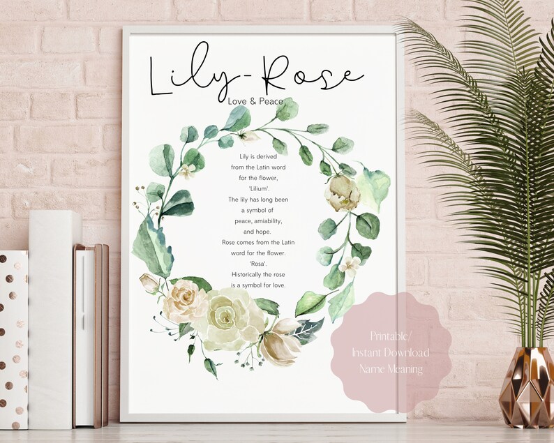 LilyRose name meaning art LilyRose name print LilyRose Etsy