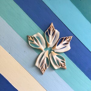 Center Cut Natural Canarium-Sea Shell Bulk-Craft Shell-Coastal Home Decor-Sailors Valentine-Beach Wedding Decor-Beach Home Decor-Sea Shell