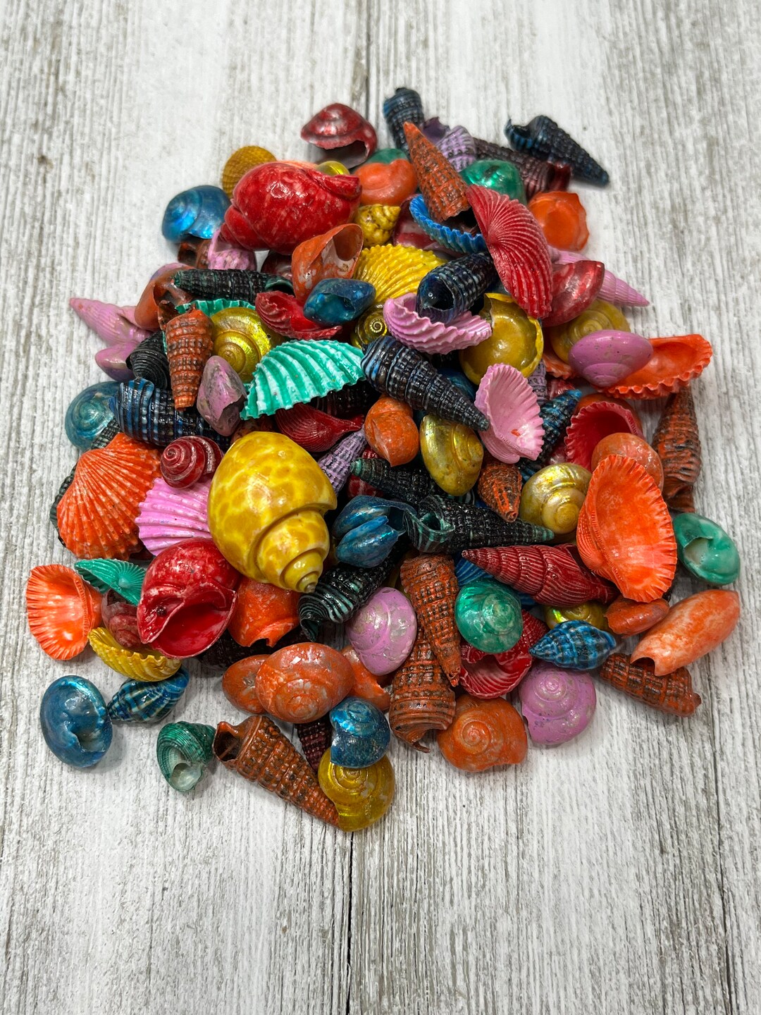 Dyed Shell Small Dyed Shell Mix-beach Decor-wedding Decor-sailors Valentine ...