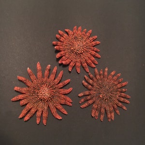 2-3" Red Sunflower Starfish-Wedding Decor-Sailors Valentine-Crafting Shell-Shell Flower-Seashell Crafts-Bulk Seashell- Coastal Home Decor