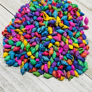 Pastel Dyed Nassa-Sea Shell Bulk-Craft Shell-Coastal Home Decor-Sailors Valentine-Beach Wedding Decor-Beach Home Decor-Sea Shell