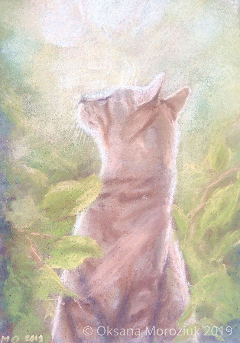 картины сони морозюк. моя любимая картина. софья морозюк художник. художница сони морозюк картины. постер гравюра синица.