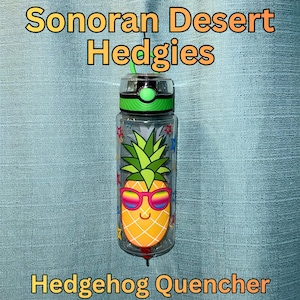 Hedgehog Quencher Bottle