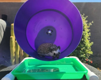 Hedgehog litter box under flippin wheel