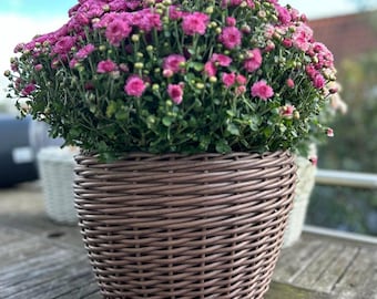 Woven Basket, Rattan Planter, Flower Pot, Large Plant Pot, Wicker Basket Planter, Garden Flower Pot, Wicker Planter 12L