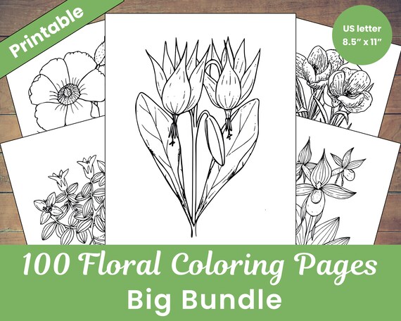 Download 100 Printable Floral Designs Adult Coloring Book Pages Big Etsy