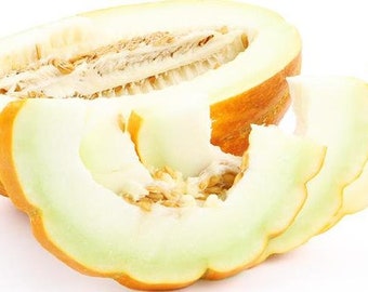 Melon Caramel F1 Russian High Quality seeds