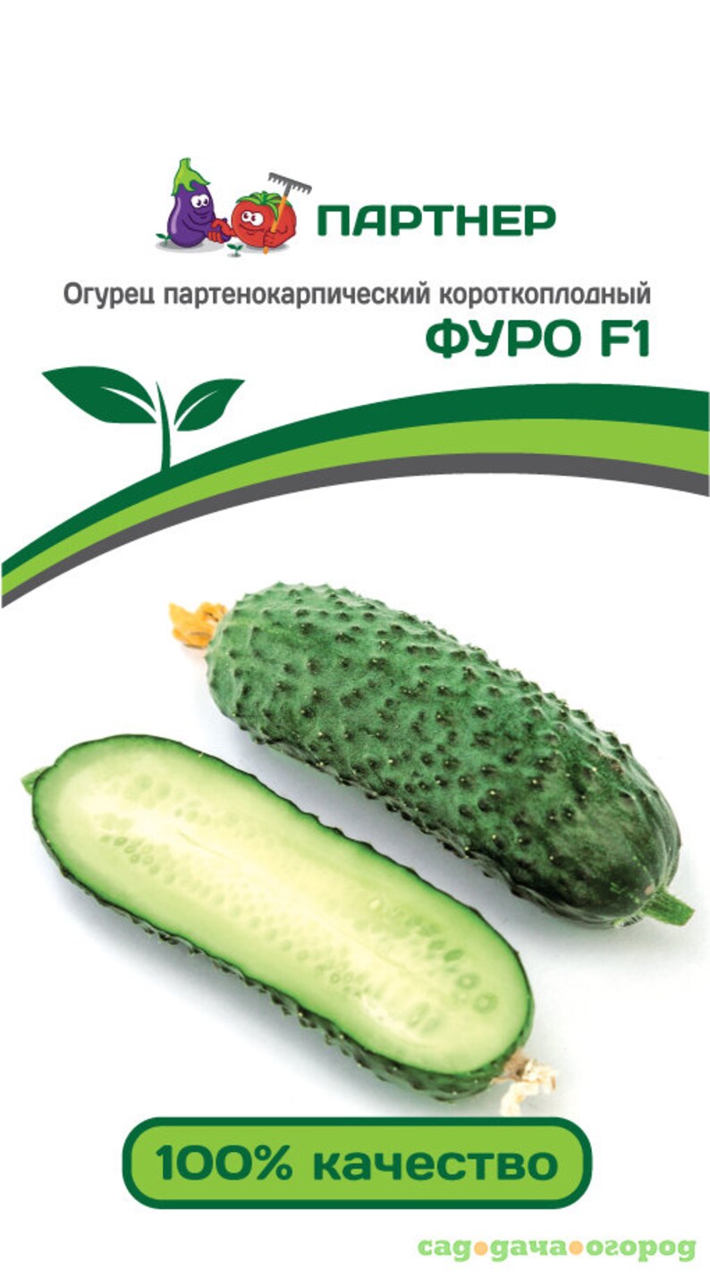 Купить Семена Огурцов Фирмы Партнер
