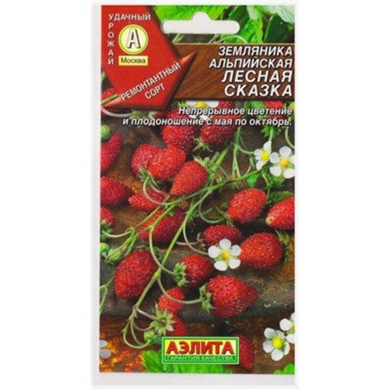 Земляника Лесная Семена Купить