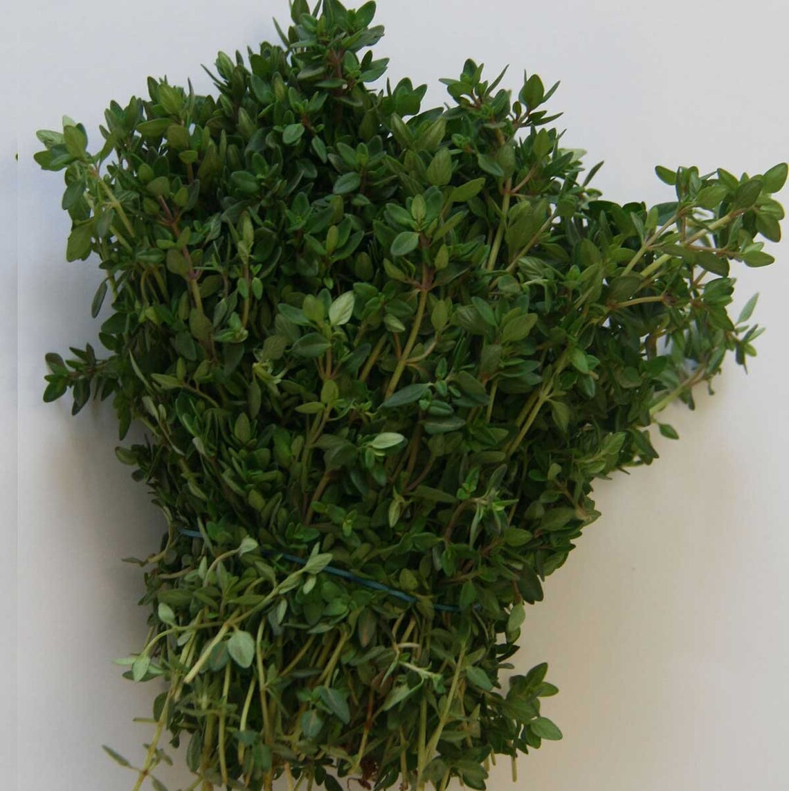 Thyme Lemon Russian High Quality Etsy