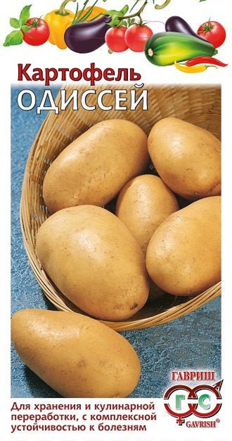 Купить Семена Картофель Сказка