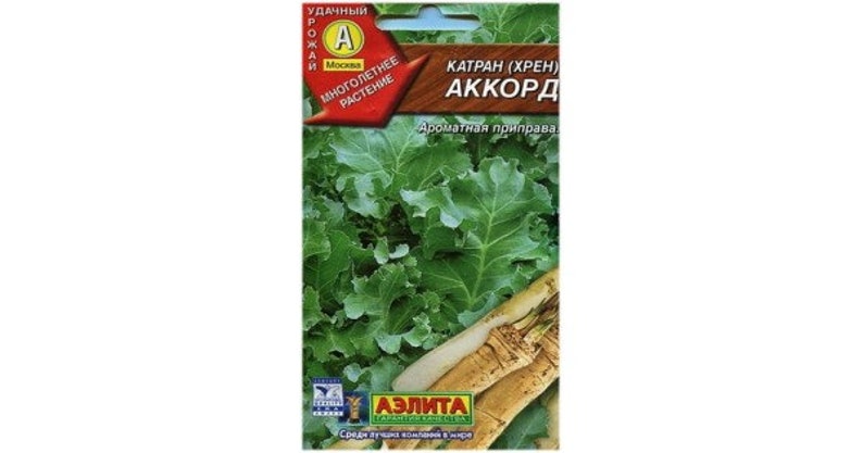 0,3 g Russian SEEDS root Katran to the Jelly HORSERADISH 0,3 g Russian SEEDS root Katran to the Jelly HORSERADISH