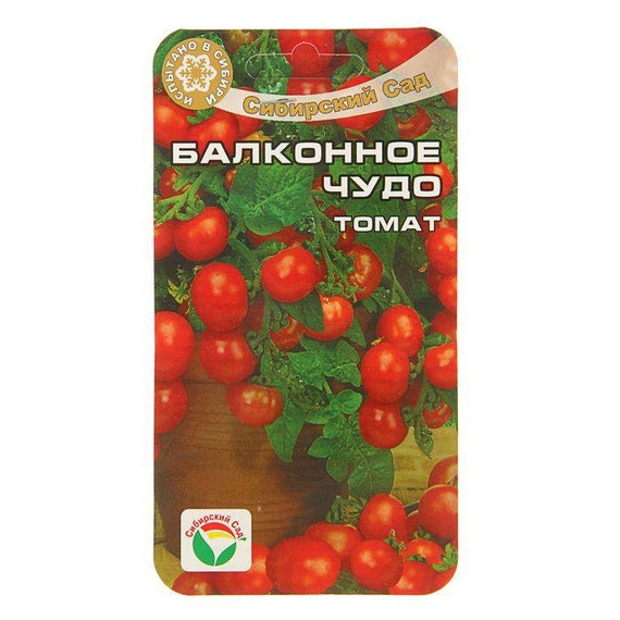 Non-GMO Siberian Garden Russian Seeds. Tomato Business Lady Non-GMO Siberian Garden Russian Seeds. Tomato Business Lady