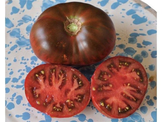 Tomato "Olya f1" Russian High Quality seeds.Non GMO Tomato "Olya f1" Russian High Quality seeds.Non GMO