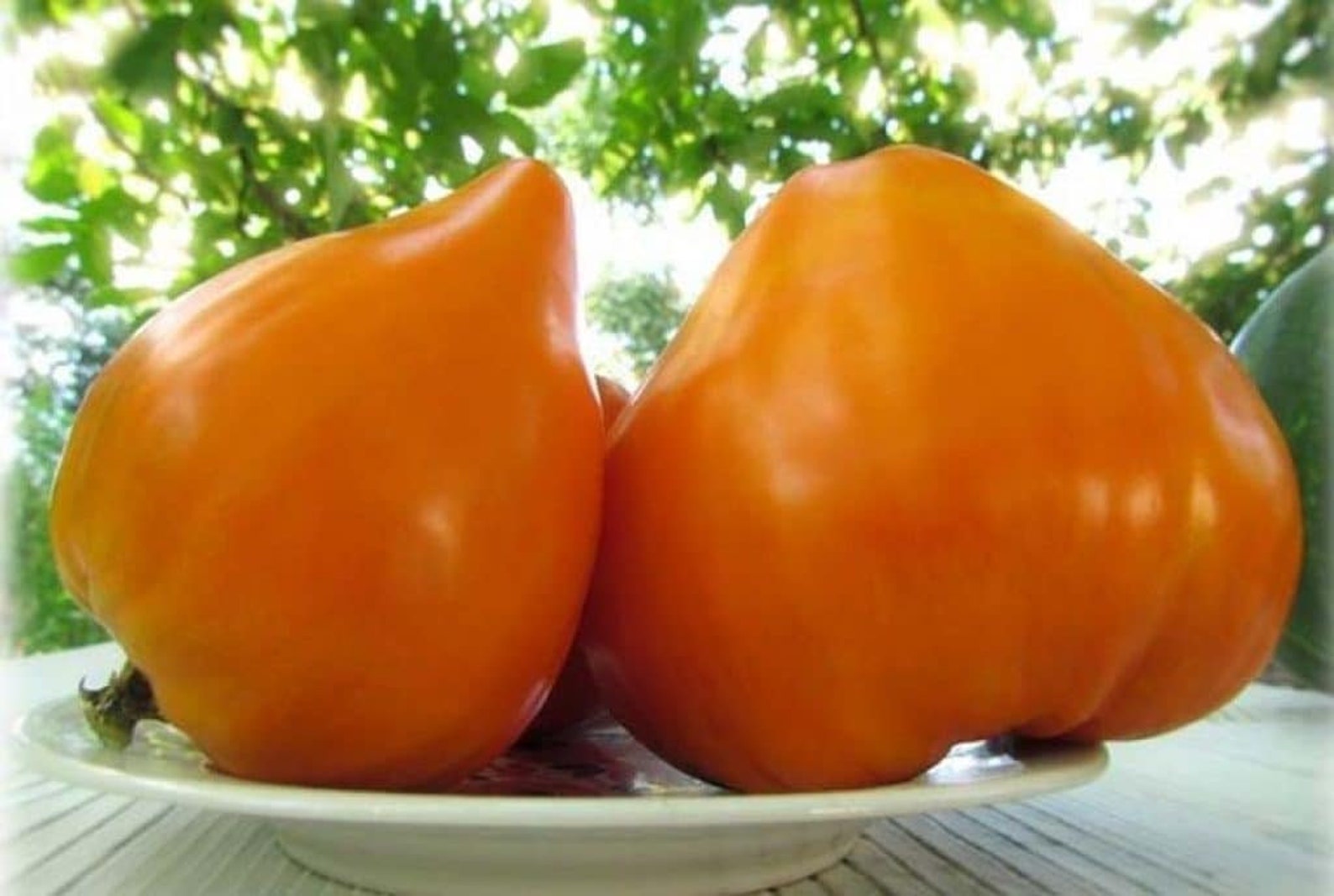 Горчичные помидоры. Томат Бычье сердце оранжевое. Томат сорт Бычье сердце оранжевое. Томат Бычье сердце персиковое. Томат Бычье сердце оранжевое острое.