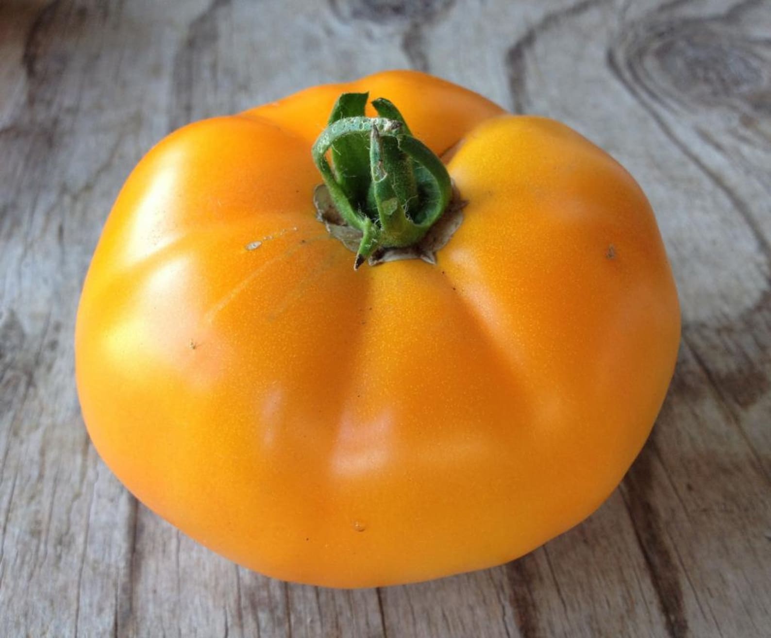 Томат хурма желтая. Томат персимон хурма. Сорт томатов хурма. Сорт томатов хурма. Помидоры сорт хурма.