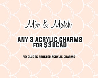 MIX & MATCH - 3 Acrylic Charms for 30!