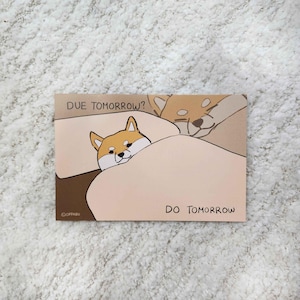 ¿Debo entregarlo mañana? ¡Hazlo mañana! // Postal triste de Shiba